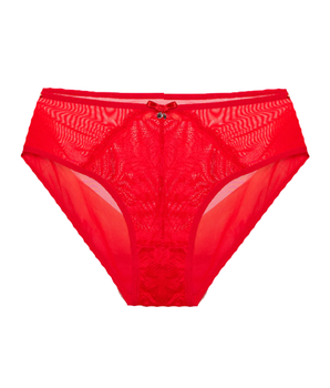 Knotty Red Lace Full-Coverage Mesh Brief