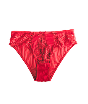 Knotty Kissable Scarlet Briefs
